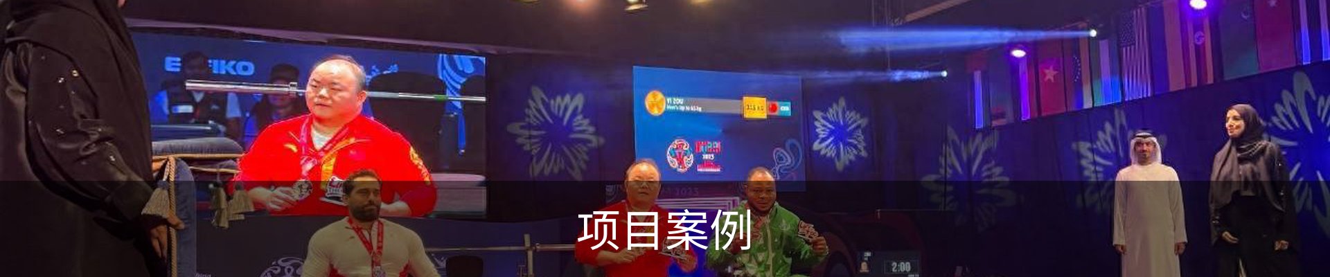 项目案例